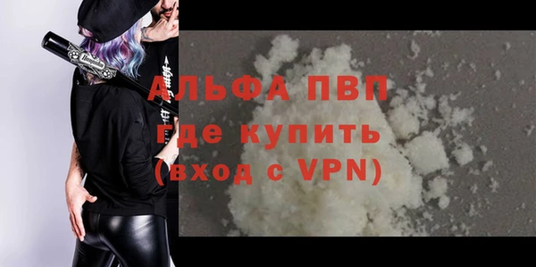 стаф Алексин