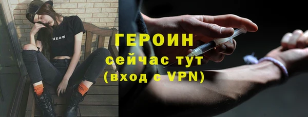 стаф Алексин
