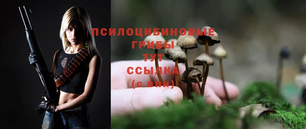 стаф Алексин