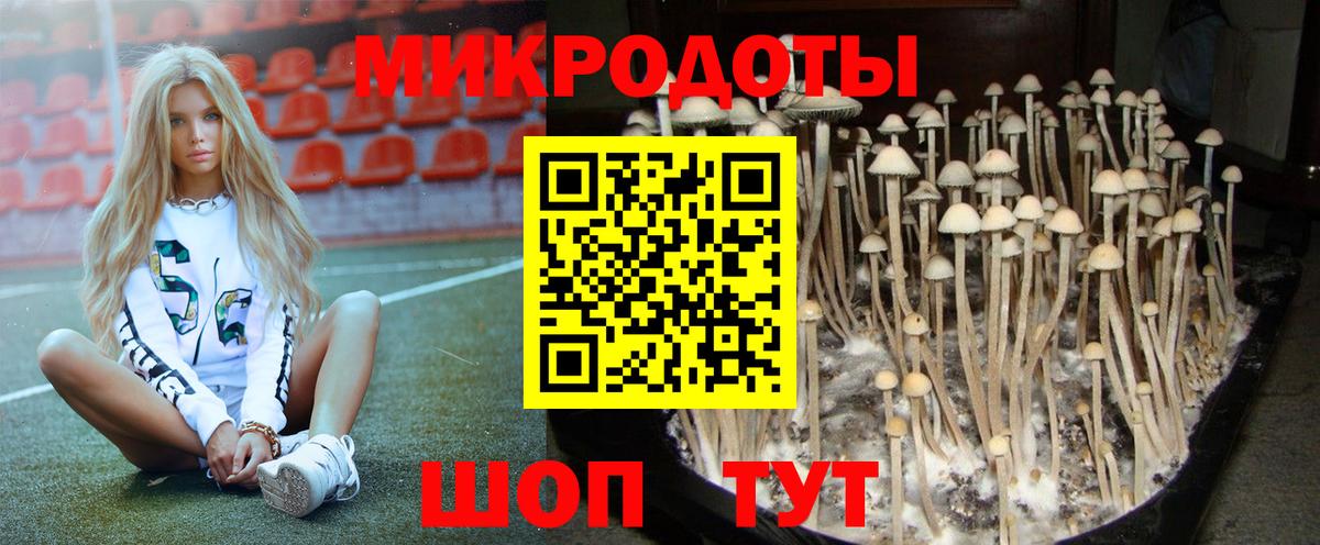 Первоуральск  Галлюциногенные грибы прущие грибы  хочу наркоту  Вход с VPN 